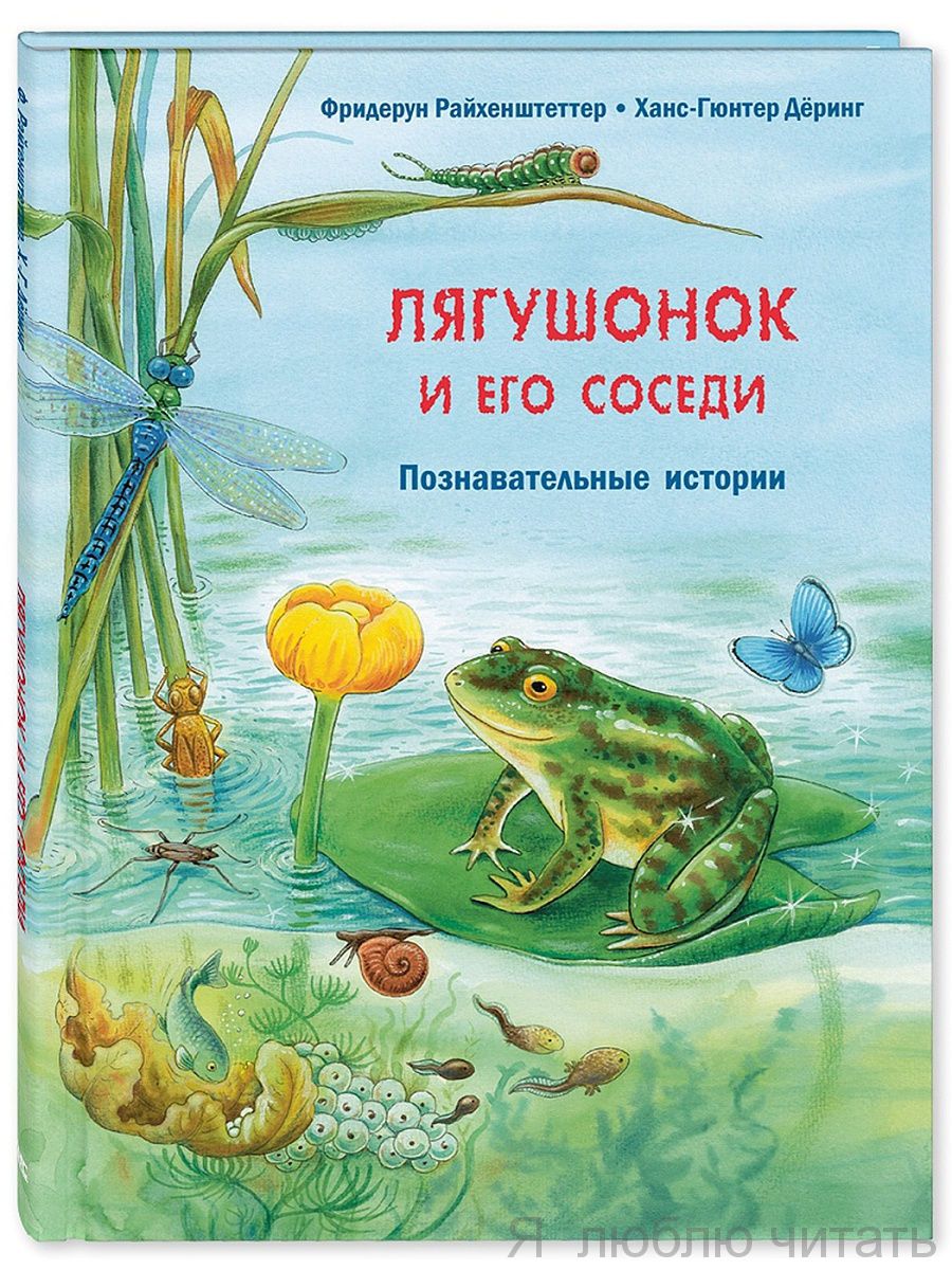 Лягушонок и его соседи. Познавательные истории