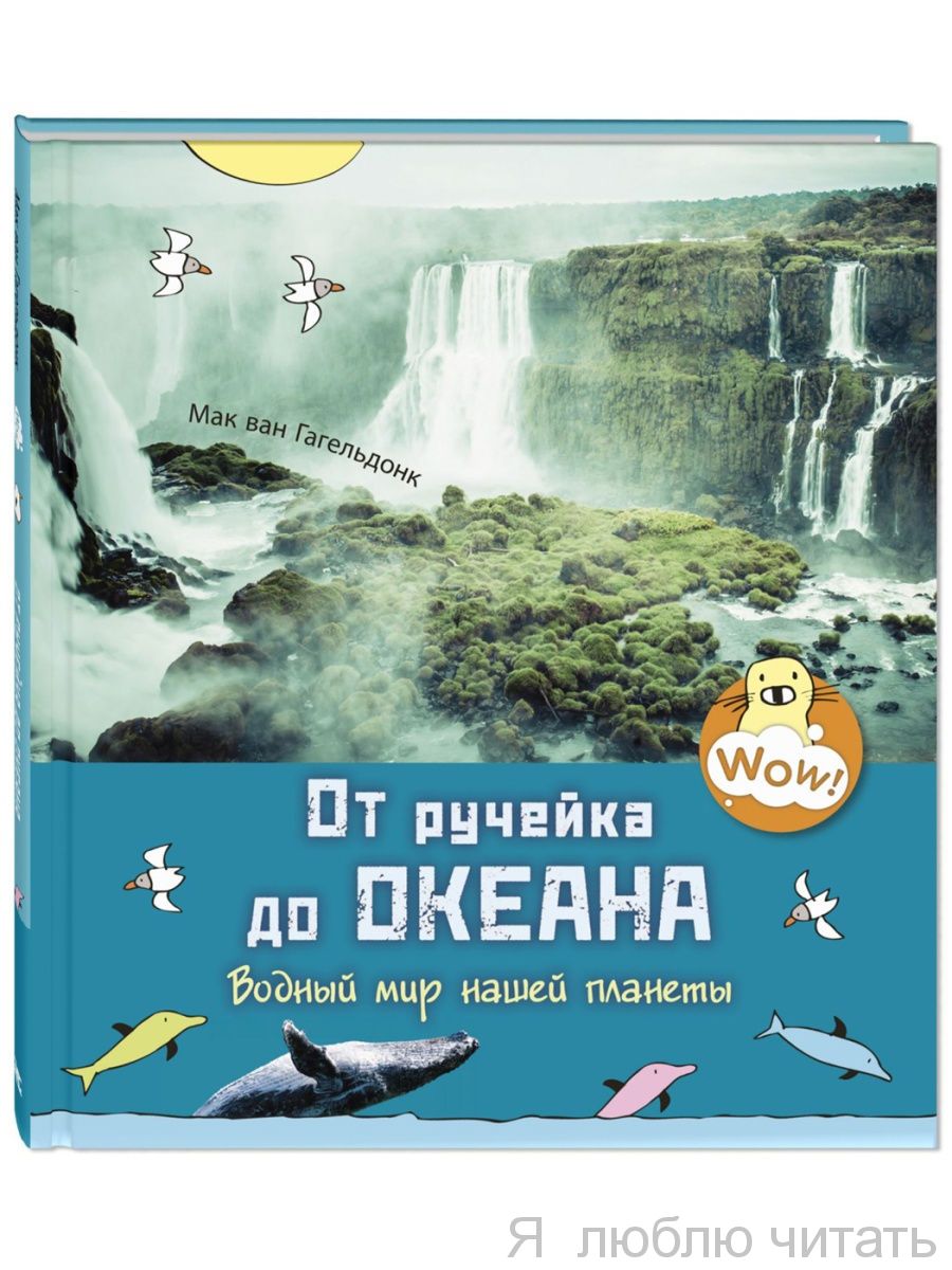 От ручейка до океана. Водный мир нашей планеты
