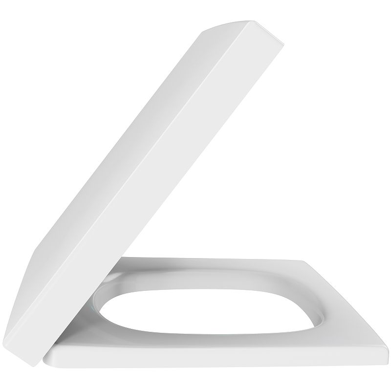 Изображение Сиденье для унитаза Jacob Delafon Terrace E70019-00 с микролифтом