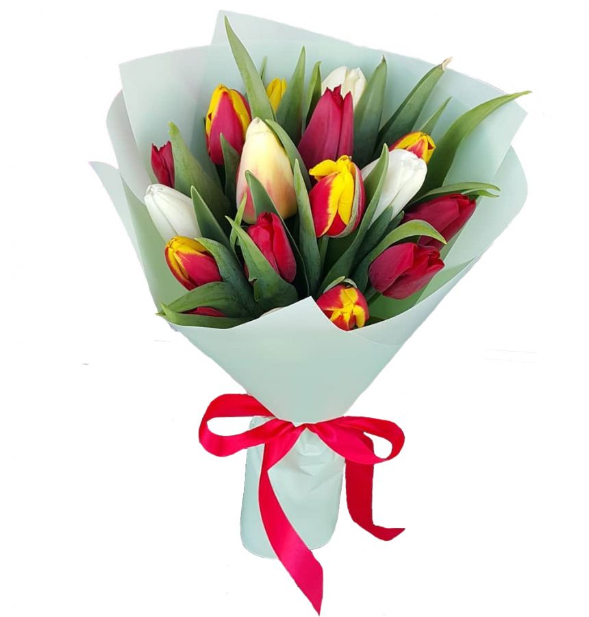 Тюльпаны 15 шт (микс)Голландский