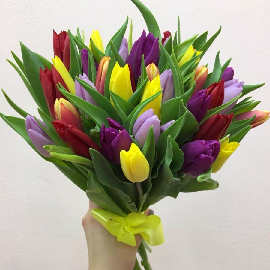 35 тюльпанов микс Голландские