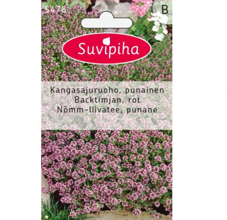 SUVIPIHA thymus serpyllum 5478