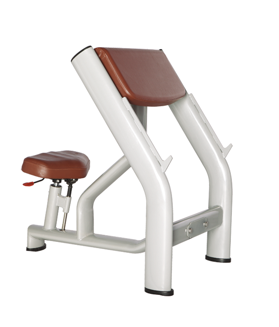 BRONZE GYM H-040A Скамья Скотта