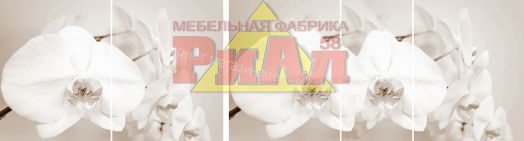 Стол раздвижной "Триумф" (1,17м), (1,35м) опоры круглые хром фотопечать арт.236743954