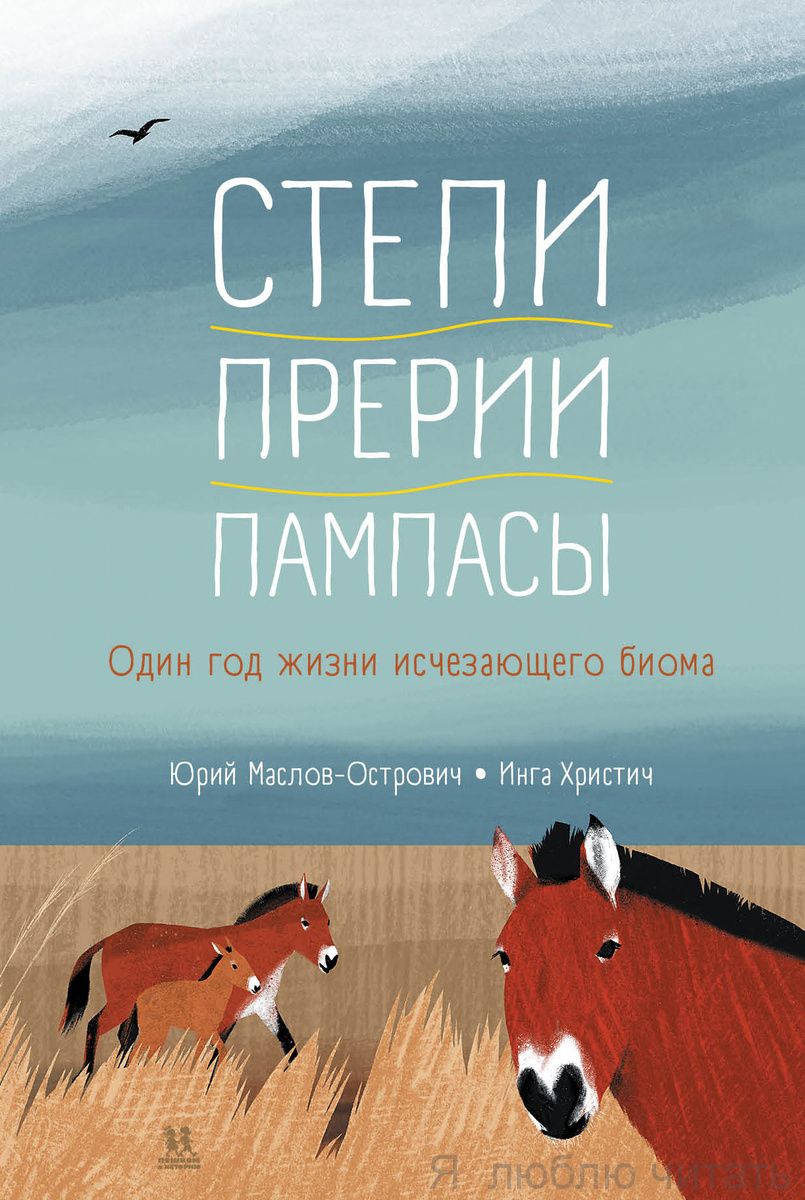 Степи, прерии, пампасы