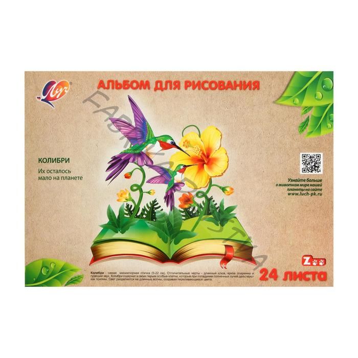 Альбом для рисования А4, 24 листа на клею «Луч» Колибри, блок офсет 100 г/м2