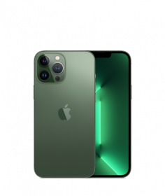 Смартфон Apple iPhone 13 Pro Max 1Tb (Alpine Green) 2 Sim