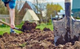 подготовительные работы на участке цены