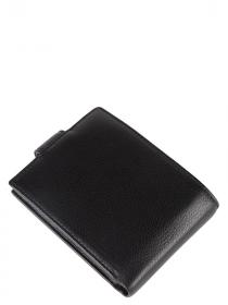 Кошелёк ELEGANZZA Z5343-1788-01-00024042