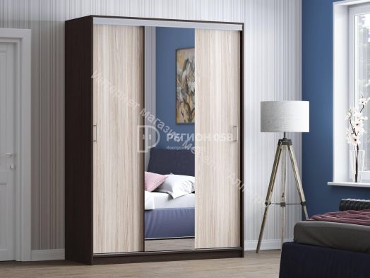 Шкаф купе "Альянс 2" (Регион 058)