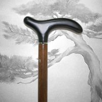 Трость Ришар фриц | Красивые модели купить в Москве с доставкой