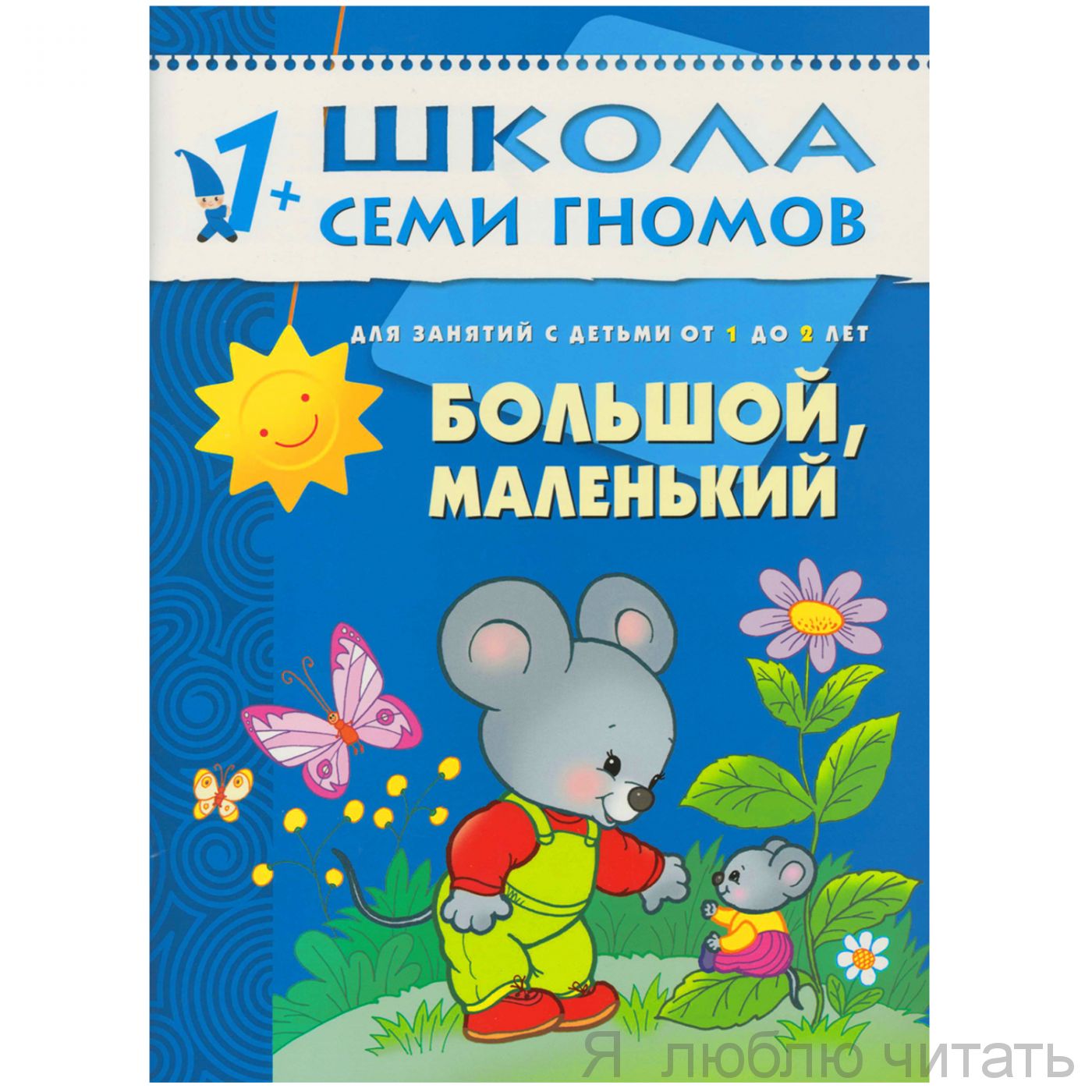 ШСГ. Второй год обучения. Большой, маленький
