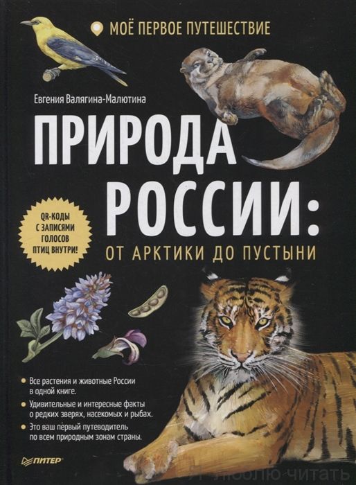Природа России: от Арктики до пустыни
