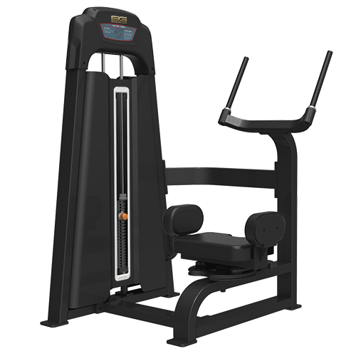 BRONZE GYM LD-9018 Торс-машина