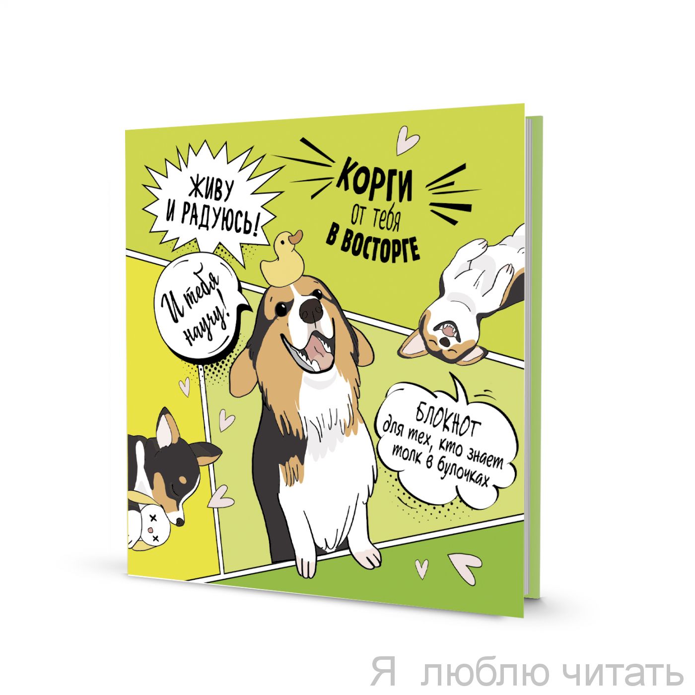 Блокнот Корги (зел., научу)