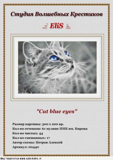00440 Cat blue eyes