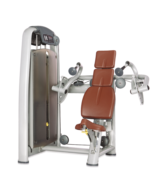 BRONZE GYM A9-007 Трицепс-машина