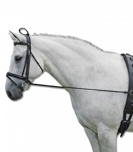 Шпрунт эластичный (шамбон). Waldhausen