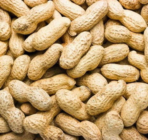 Арахис в скорлупе