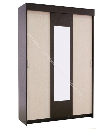 Шкаф купе "Бассо" 1,3