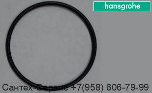 95056000 Уплотнительное кольцо для термостатического смесителя Hansgrohe