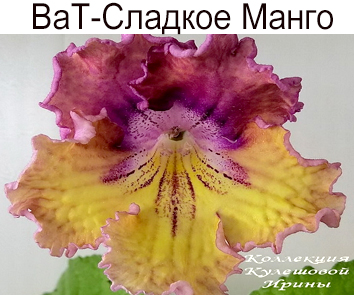 ВаТ-Сладкое Манго (Т. Валькова)