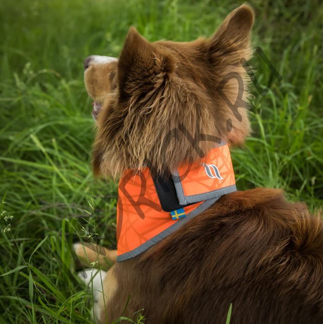 Сигнальная светоотражающая бандана для собаки оранжевая Back on Track Draco Oranssi