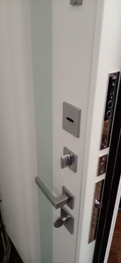 Дверь Входная АСД Эверест