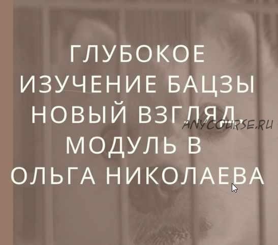 Глубокое изучение астрологии Ба Цзы. Новый взгляд. Модуль B (Ольга Николаева)