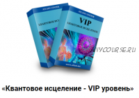 Квантовое исцеление VIP уровень Проводник (Александр Шурин)