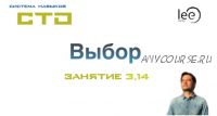 СТО «Выбор» Занятие №3,14 (Lee)