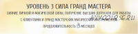 Восхождение души - Уровень 3 - Сила гранд мастера (Ольга Каруна, Александр Фарейн)