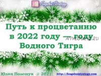 [Fengshui Strategy] Путь к Процветанию в 2022 году - году Водного Тигра (Юлия Полещук)