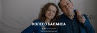 Колесо баланса 2020 (Юрий Чекчурин, Ольга Парханович)