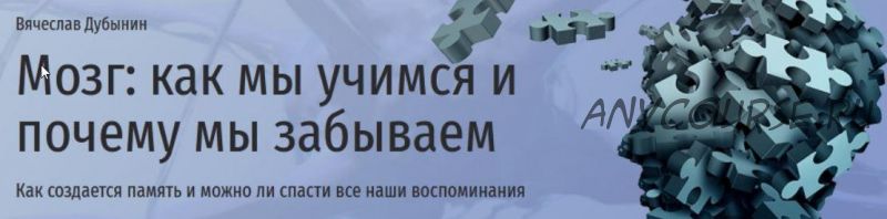 [Прямая речь] Мозг: как мы учимся и почему мы забываем (Вячеслав Дубынин)