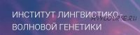 Матрицы Горяева. Программа №2 «Коррекция метаболизма костной и кровеносной систем» (Петр Гаряев)