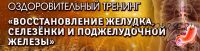 Оздоровительный тренинг 'Восстановление желудка, селезенки и поджелудочной железы'. Пакет 'Вип' (Владимир Осипов)