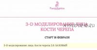 [Facevitonica] 3Д Моделирование лица. Кости черепа (Инна Алферова)