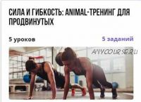 [puzzlebrain] Сила и гибкость: Animal-тренинг для продвинутых (Илья Самарцев)