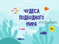 [MagicArt] Чудеса подводного мира 5+