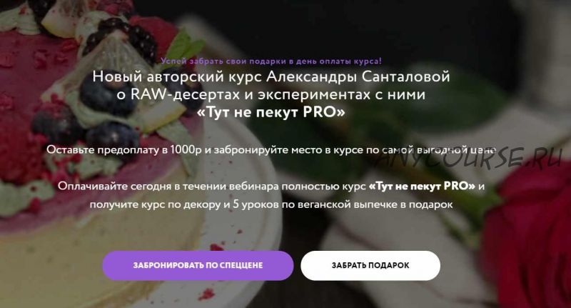 Тут не пекут Pro. Тариф - PRO+БАЗОВЫЙ (Александра Санталова)