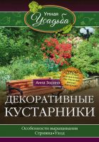 Декоративные кустарники (Анна Зорина)