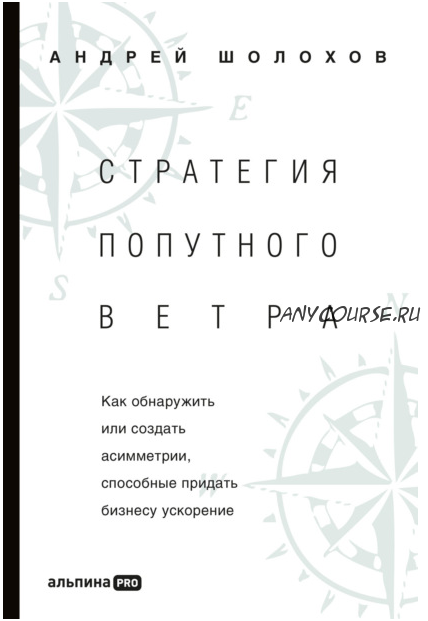 Стратегия попутного ветра. Как обнаружить или создать асимметрии, способные придать бизнесу ускорение (Андрей Шолохов)