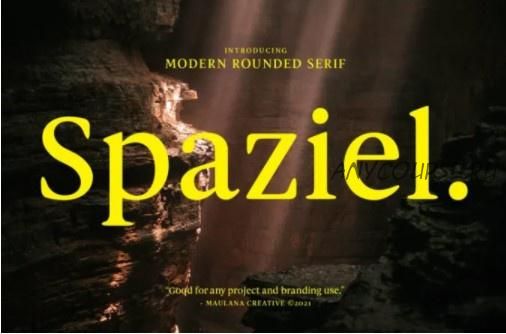 [Fontbundles] Spaziel Font