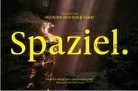 [Fontbundles] Spaziel Font