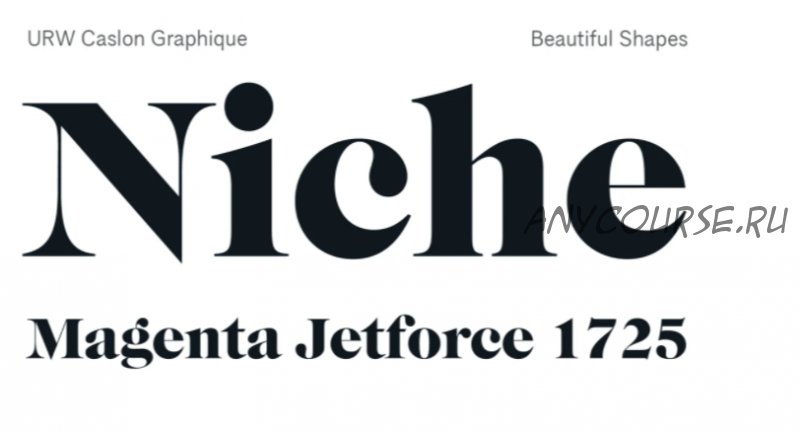 [Myfonts] Caslon Graphique Font (2021)