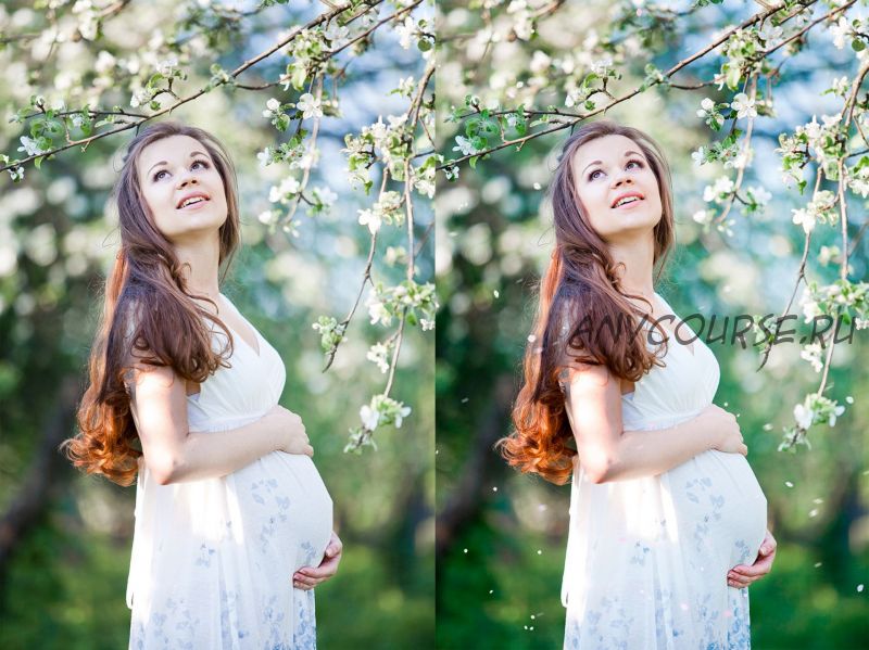 Лепестки цветов фотоналожение / White petals photo overlays (MixPixBox)