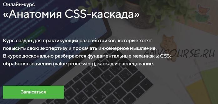 [HTML Academy] Онлайн-курс «Анатомия CSS-каскада»