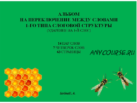 Альбом на переключение между словами 1-го типа слоговой структуры. Ударение на 1-й слог. (Евгения Ларина)