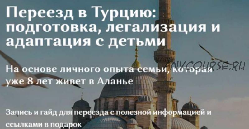 Переезд в Турцию: подготовка, легализация и адаптация с детьми. Тариф Одна страна (Галина Ковтун)